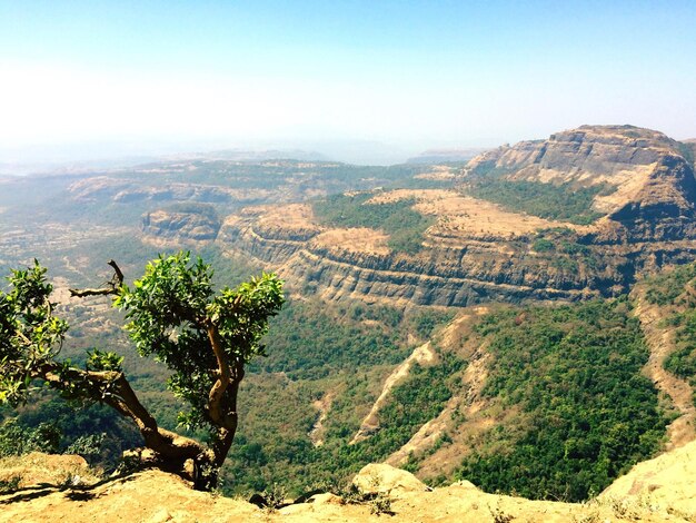 Mount Abu 