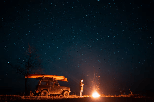 Night Safari